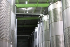 wine-ferment